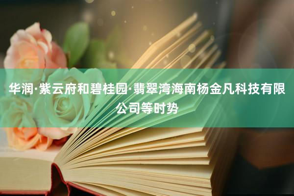 华润·紫云府和碧桂园·翡翠湾海南杨金凡科技有限公司等时势