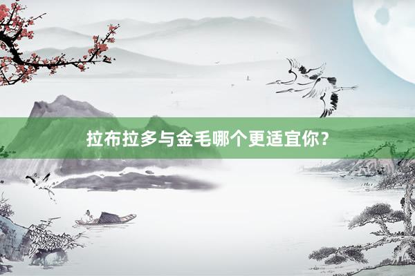 拉布拉多与金毛哪个更适宜你？